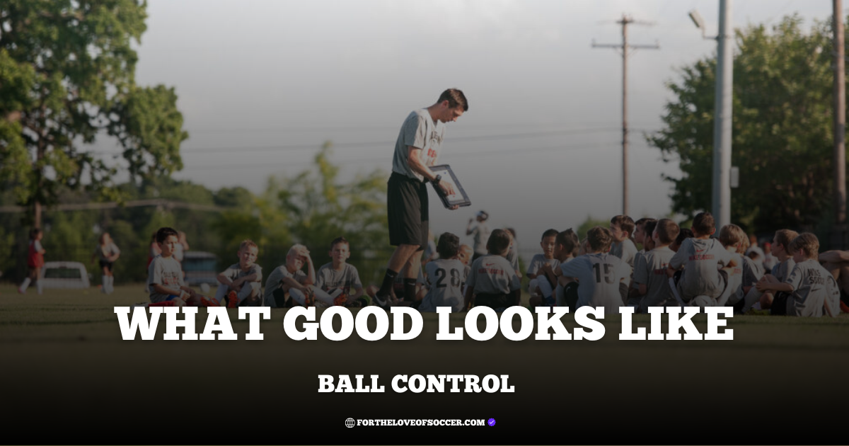 What good looks like - ball control